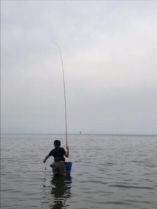 琵琶湖コアユ釣り はままつ方式